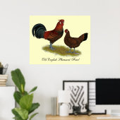 Oud Engels Pheasant Fowl Poster (Thuiskantoor)