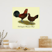 Oud Engels Pheasant Fowl Poster (Keuken)