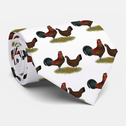 Oud Engels Pheasant Fowl Stropdas (Opgerold)