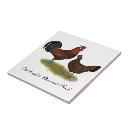 Oud Engels Pheasant Fowl Tegeltje (Zijkant)
