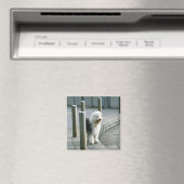 Oud Engels Sheep Dog 2 Magneet (Insitu (Vaatwasser))