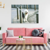 Oud Engels Sheep Dog Canvas Afdruk (Insitu (Woonkamer))