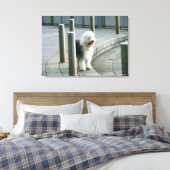 Oud Engels Sheep Dog Canvas Afdruk (Insitu (Slaapkamer))