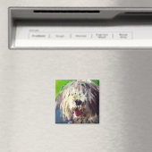 Oud Engels Sheep Dog Magneet (Insitu (Vaatwasser))