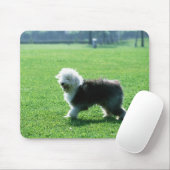 Oud Engels Sheep Dog Muismat (Met muis)