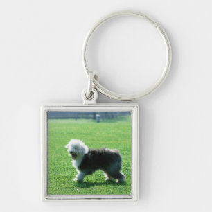 Oud Engels Sheep Dog Sleutelhanger