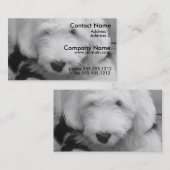Oud Engels Sheep Dog Visitekaartje (Voorkant / Achterkant)