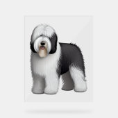 Oud Engels Sheepdog 10 Acryl Bord (Voorkant)