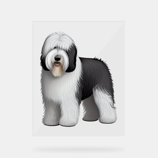 Oud Engels Sheepdog 10 Acryl Bord (Voorkant)