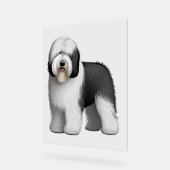 Oud Engels Sheepdog 10 Acryl Bord (Hoek)