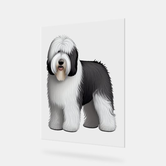 Oud Engels Sheepdog 10 Acryl Bord (Hoek)