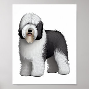 Oud Engels Sheepdog 10 Poster