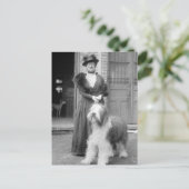 Oud Engels Sheepdog, 1915 Briefkaart (Staand voorkant)