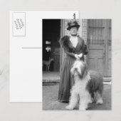 Oud Engels Sheepdog, 1915 Briefkaart (Voorkant / Achterkant)