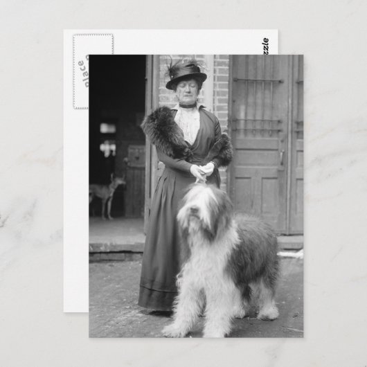 Oud Engels Sheepdog, 1915 Briefkaart (Voorkant / Achterkant)