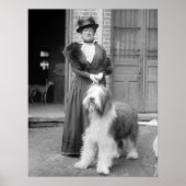 Oud Engels Sheepdog, 1915 Poster (Voorkant)