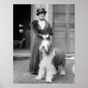 Oud Engels Sheepdog, 1915 Poster