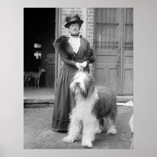 Oud Engels Sheepdog, 1915 Poster (Voorkant)