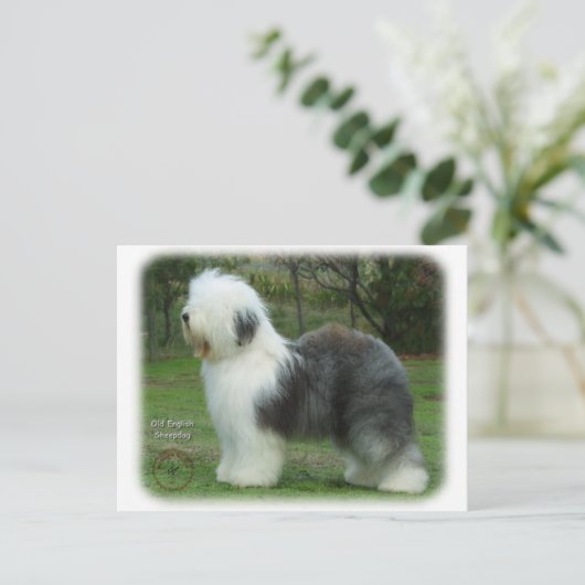 Oud Engels Sheepdog 9F054D-18 Briefkaart (Staand voorkant)