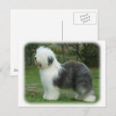 Oud Engels Sheepdog 9F054D-18 Briefkaart (Voorkant / Achterkant)