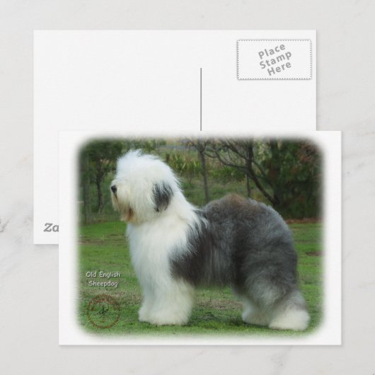 Oud Engels Sheepdog 9F054D-18 Briefkaart (Voorkant / Achterkant)