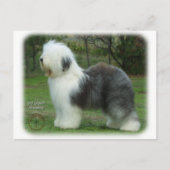 Oud Engels Sheepdog 9F054D-18 Briefkaart (Voorkant)