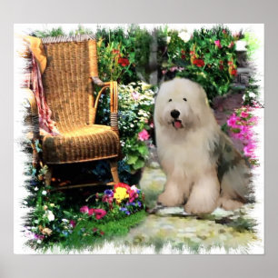 Oud Engels Sheepdog Art Print