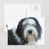 Oud Engels Sheepdog Briefkaart (Voorkant / Achterkant)