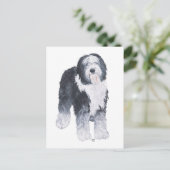 Oud Engels Sheepdog Briefkaart (Staand voorkant)