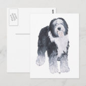 Oud Engels Sheepdog Briefkaart (Voorkant / Achterkant)
