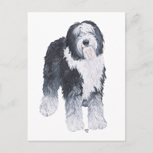 Oud Engels Sheepdog Briefkaart (Voorkant)