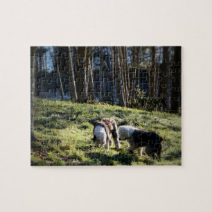 Oud Engels Sheepdog Fairytale Forest Legpuzzel