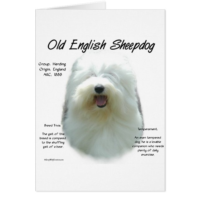 Oud Engels Sheepdog Geschiedenis Design (Voorkant)