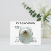 Oud Engels Sheepdog Geschiedenis Design Briefkaart (Staand voorkant)