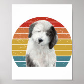 Oud Engels Sheepdog Gifts voor  Dulux Dog S Poster (Voorkant)
