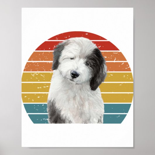 Oud Engels Sheepdog Gifts voor Dulux Dog S Poster (Voorkant)