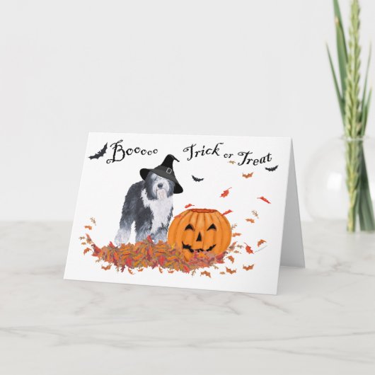 Oud Engels Sheepdog Halloween Kaart (Voorkant)