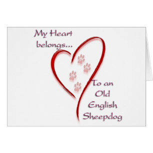 Oud Engels Sheepdog hart hoort erbij