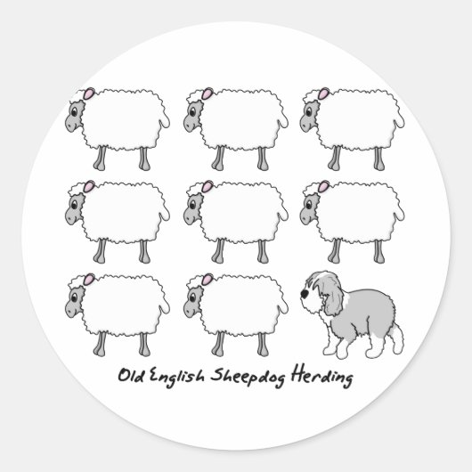 Oud Engels Sheepdog Herding Schapen Ronde Sticker (Voorkant)