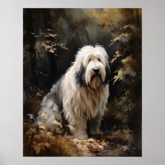 Oud Engels Sheepdog Hond Art Print Poster (Voorkant)