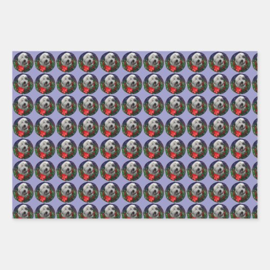 Oud Engels Sheepdog Inpakpapier Vel (Voorkant 3)