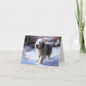 Oud Engels Sheepdog Laat het sneeuwen Kerstmis Kaart (Voorkant)
