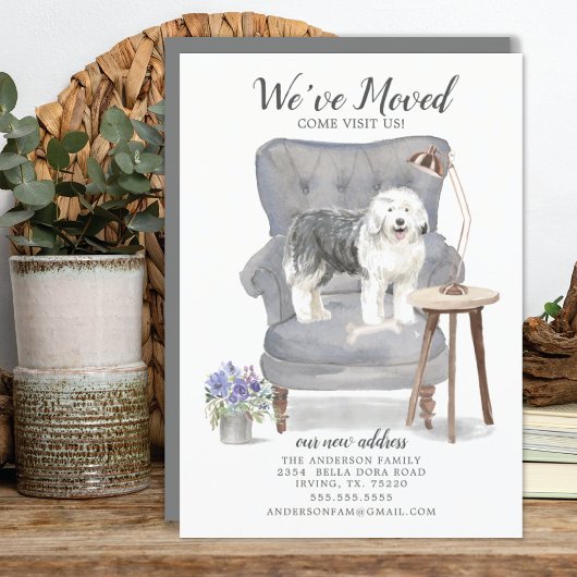 Oud Engels Sheepdog Moving Announement Aankondiging