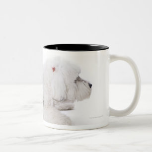 Oud Engels Sheepdog op witte achtergrond Tweekleurige Koffiemok