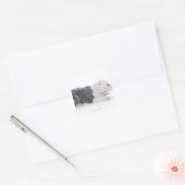 Oud Engels Sheepdog op witte achtergrond Vierkante Sticker (Envelop)