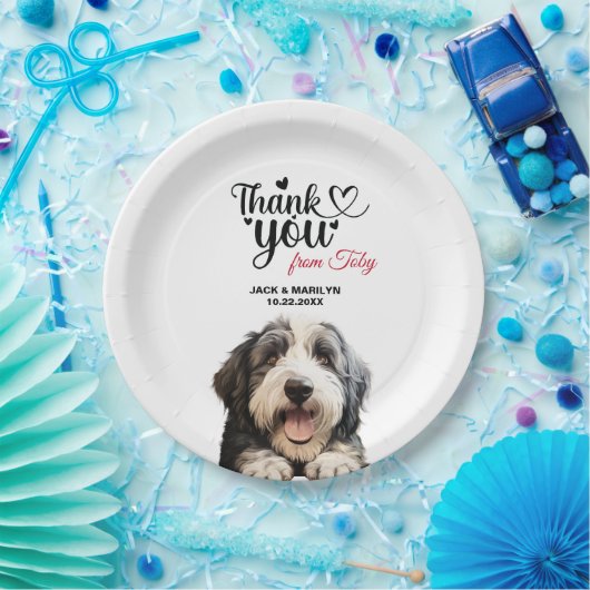 Oud Engels Sheepdog Papieren Bordje (Feest)