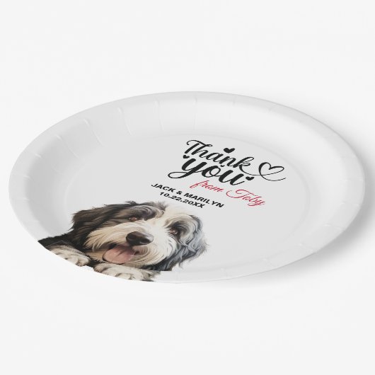 Oud Engels Sheepdog Papieren Bordje (Gekanteld)