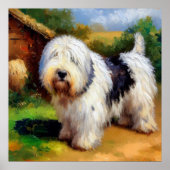 Oud Engels Sheepdog Poster (Voorkant)