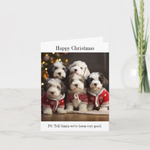 Oud Engels Sheepdog Puppies Kerstmis Kaart