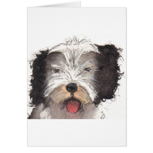 Oud Engels Sheepdog Puppy (Voorkant)